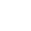 Icon Olahraga